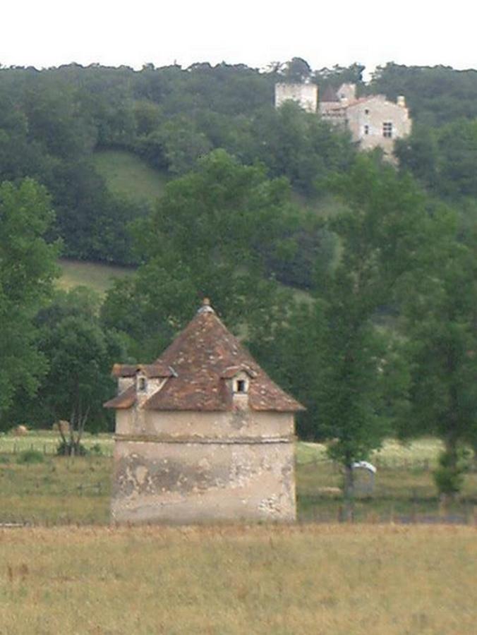 Hotel Le Relais Du Chateau Grignols  外观 照片