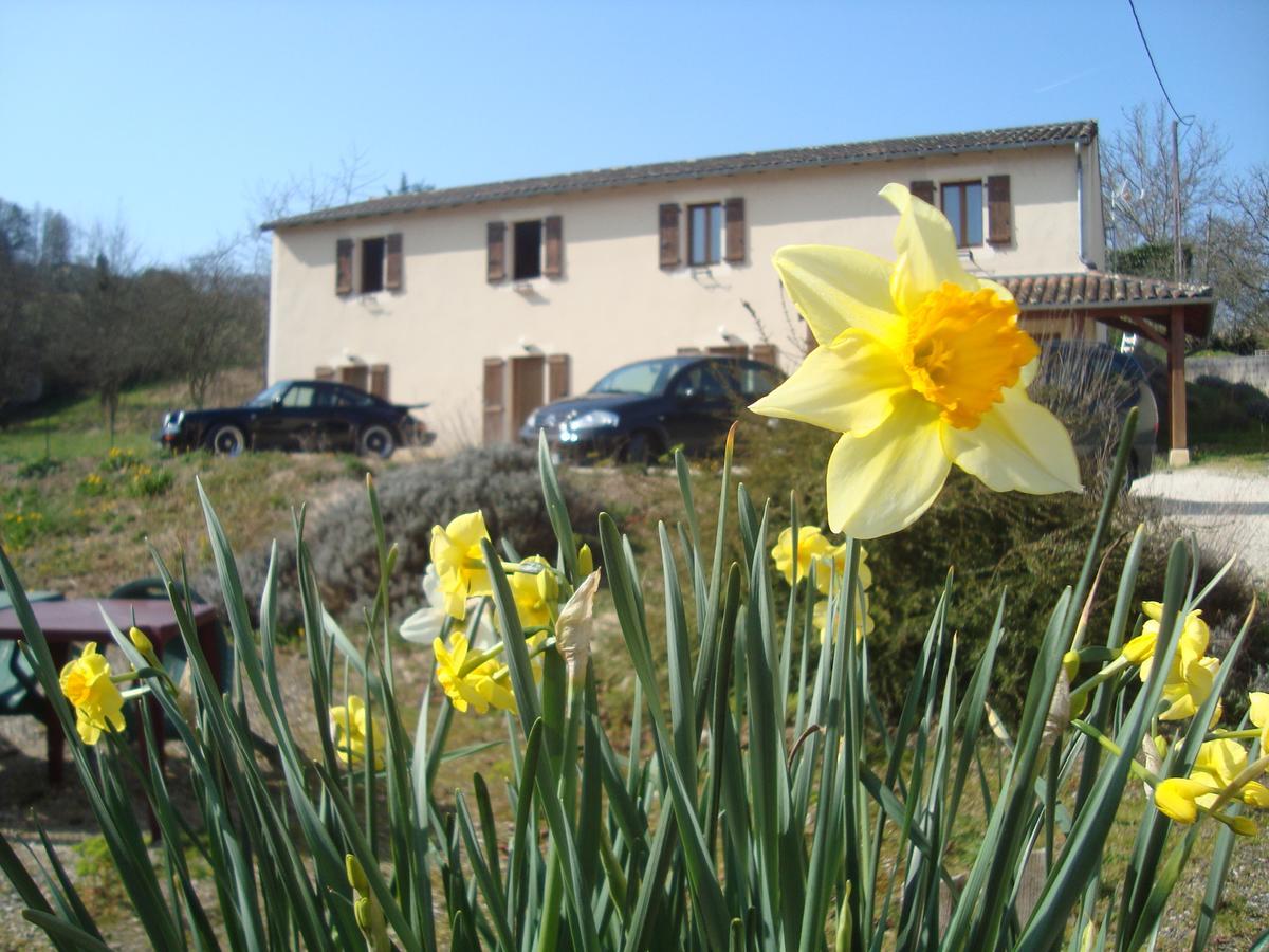Hotel Le Relais Du Chateau Grignols  外观 照片