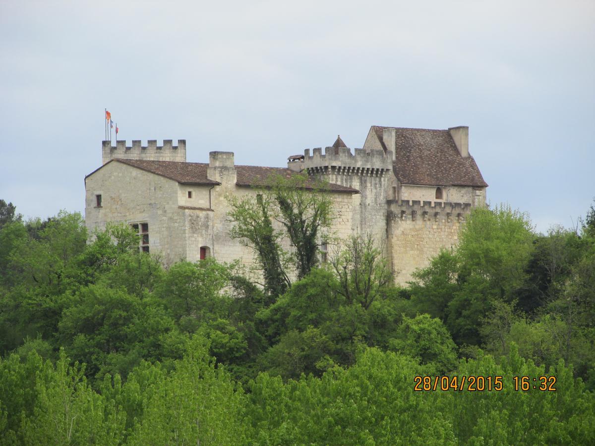 Hotel Le Relais Du Chateau Grignols  外观 照片