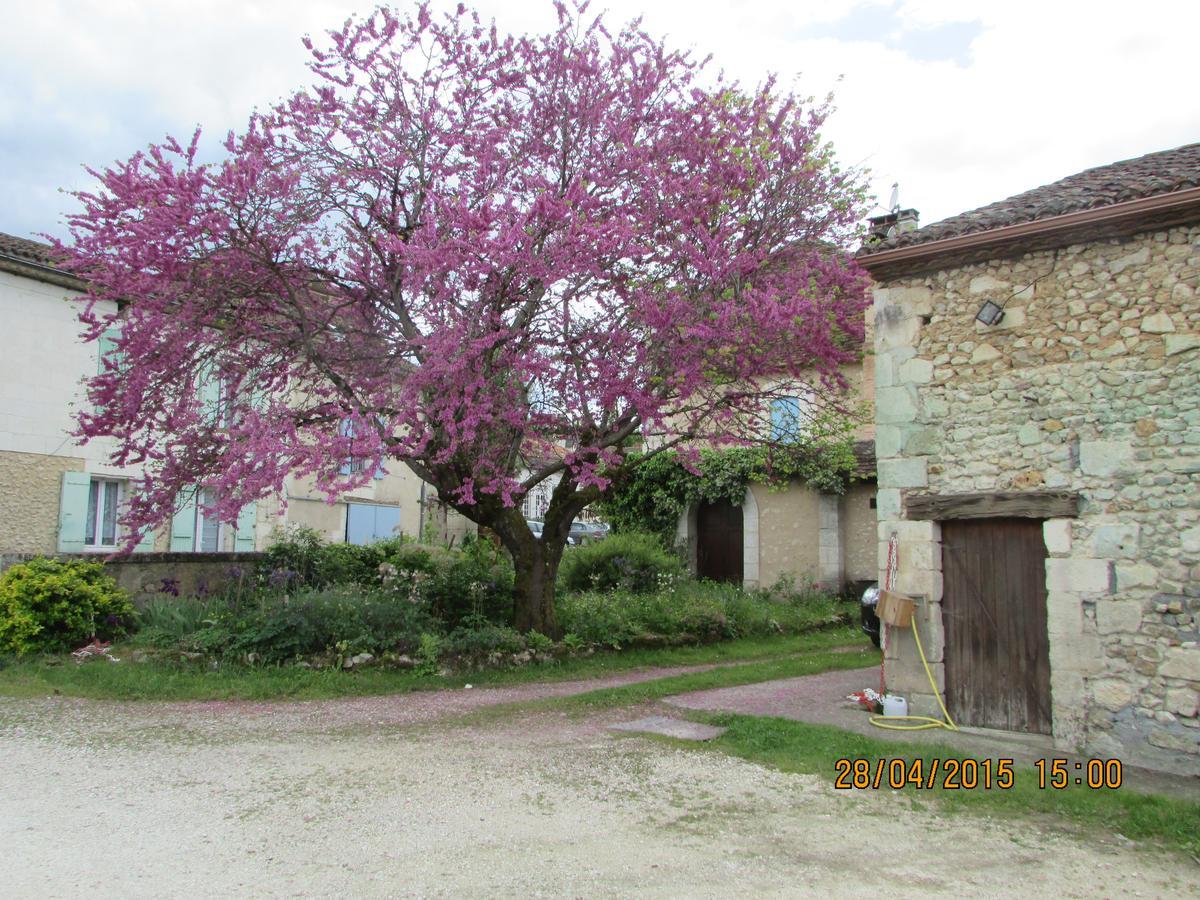 Hotel Le Relais Du Chateau Grignols  外观 照片